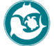 MMF logo