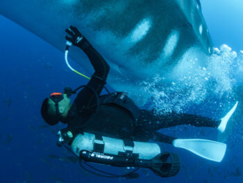 Man skubba diving in the ocean swimming under a shark